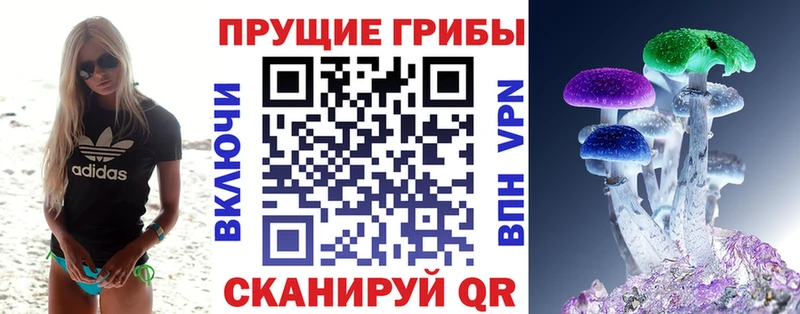 Галлюциногенные грибы Psilocybe  Семикаракорск 
